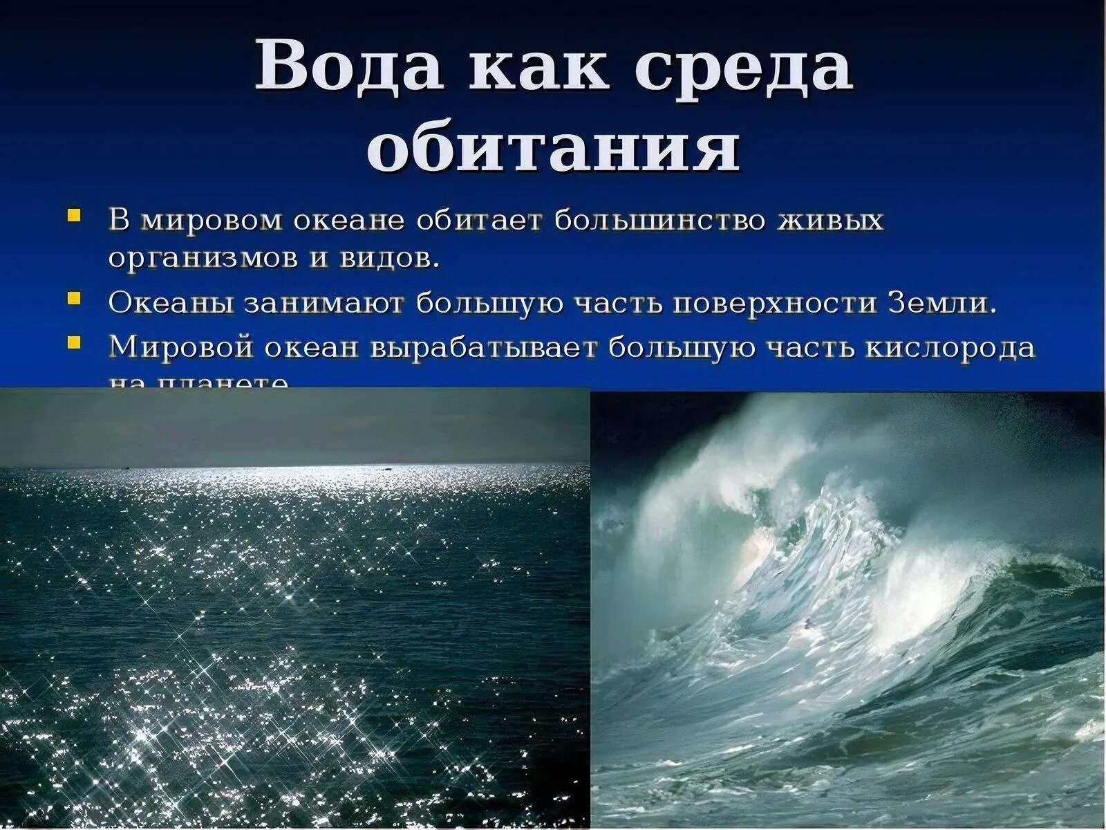 Вода как среда обитания. Презентация на тему водная среда.. Вода среда обитания презентация. Живые организмы водной среды обитания. Колебания температуры в водной среде обитания