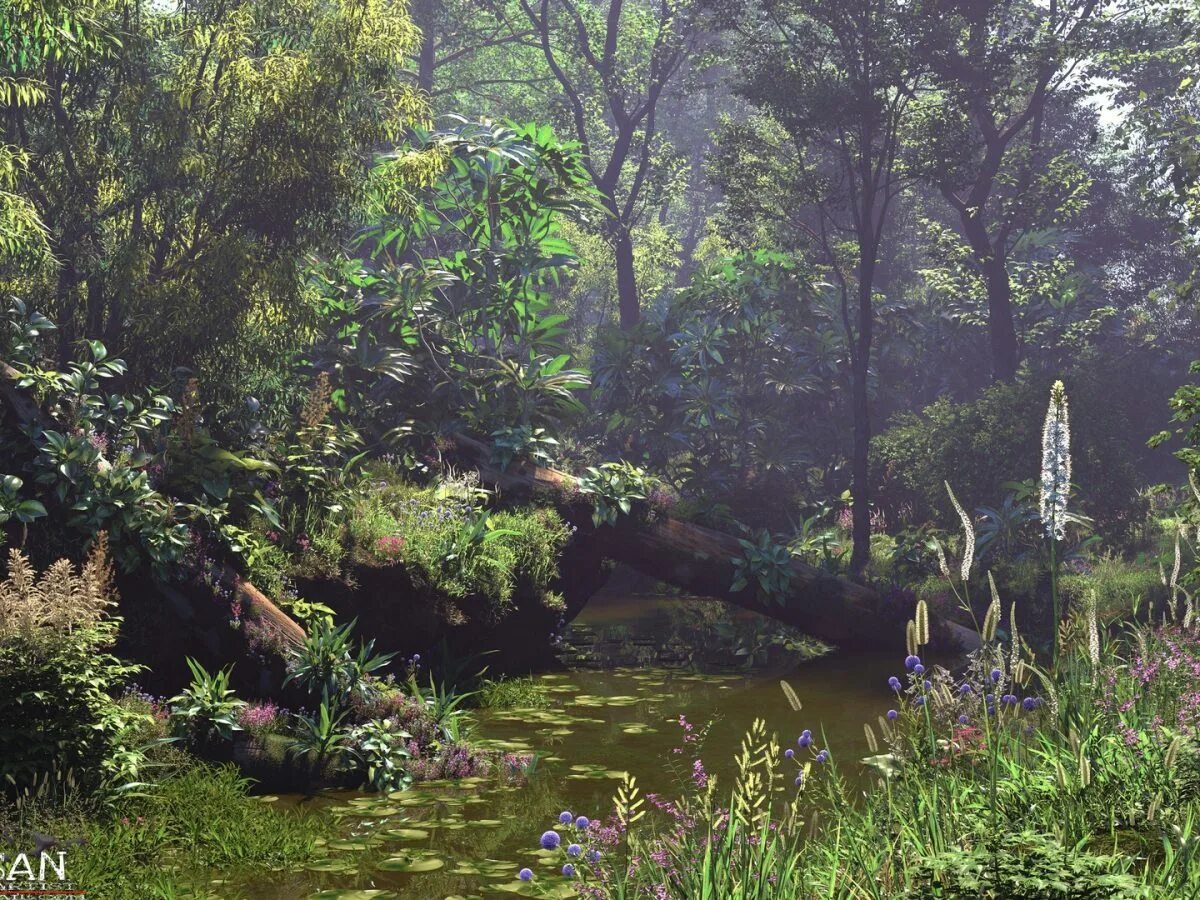 Itoo forest. Itoo forest pack pro 6.3.1.