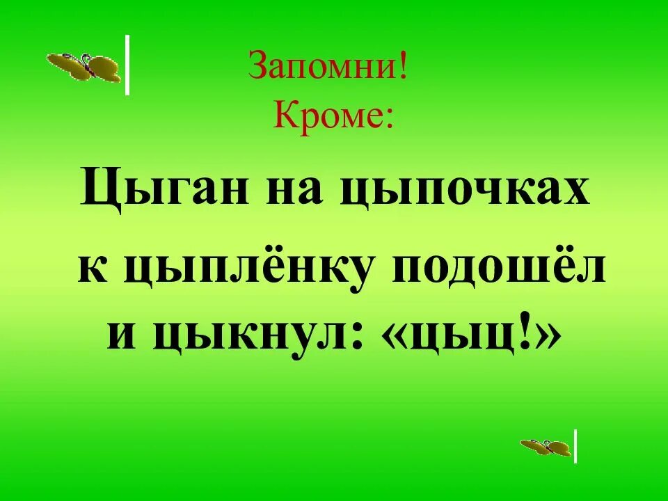 Цыган на цыпочках цыпленку цыкнул цыц. Цыган цыпленку цыкнул. Цыган на цыпочках подошёл к цыплёнку и цыкнул цыц правило. Цыпленок цыкнул цыц. На цыпочках написание