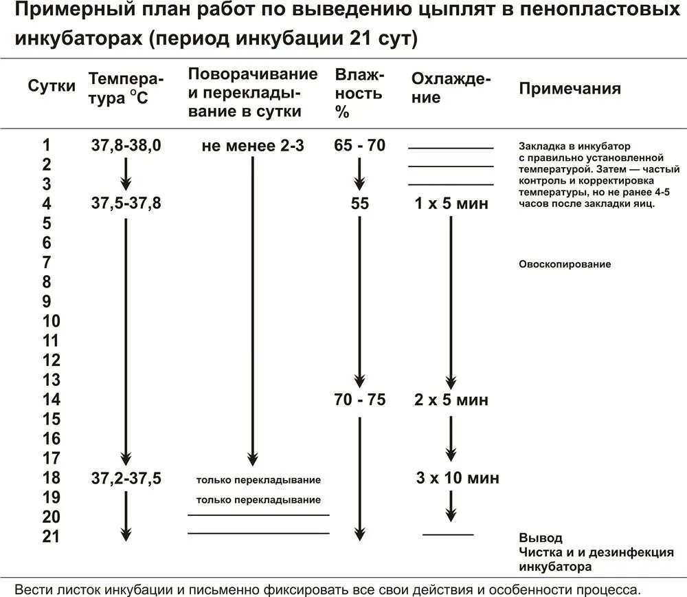 Температура внутри инкубатора. Таблица выведения цыплят в инкубаторе Золушка. Таблица инкубирования яиц в инкубаторе Золушка. Таблица инкубации куриных яиц в инкубаторе Золушка на 70. Таблица инкубации куриных яиц в инкубаторе Несушка на104.