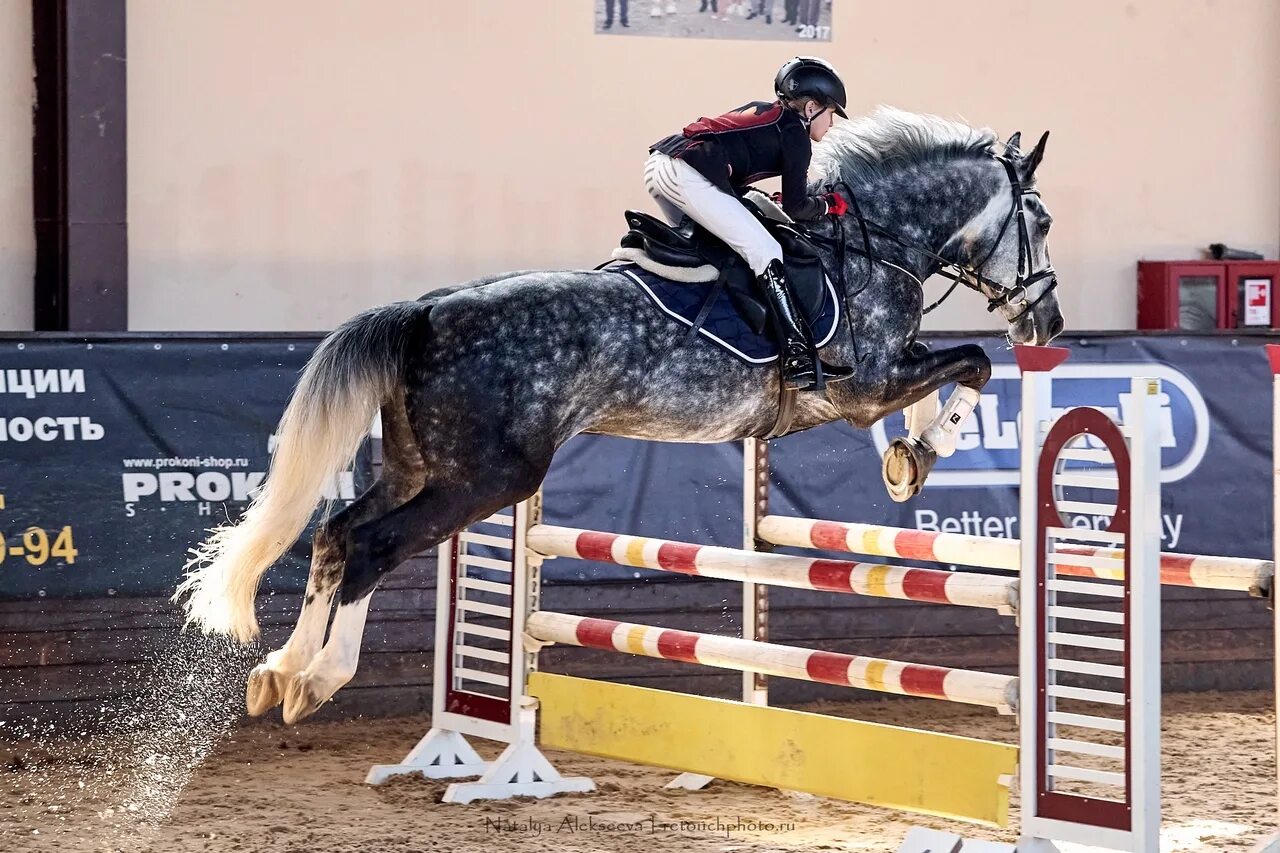 отрада старты