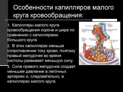 Какому процессу способствует медленный ток в капиллярах