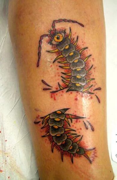 Татуировка токийский гуль сколопендра. Токийский гуль сороконожка. Сколопендра тату. Что означает сороконожка. Татуировка сколопендра.