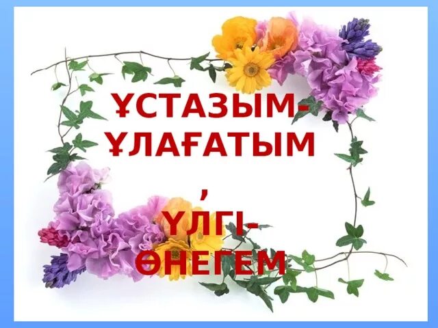 Ұстаз новд