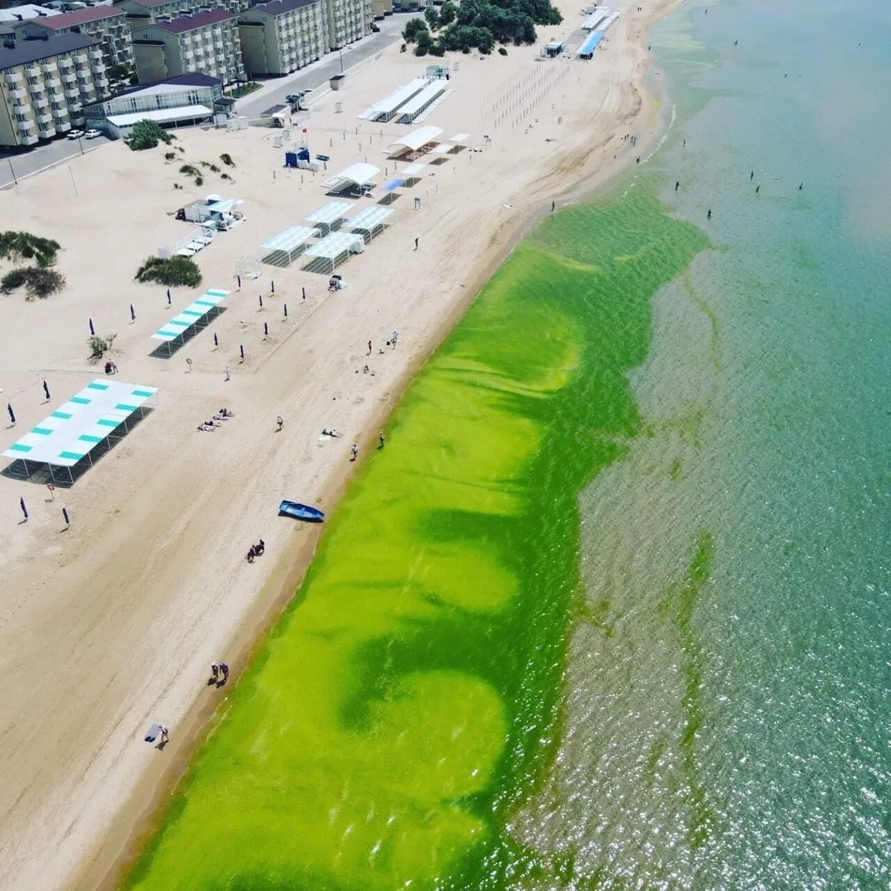 Море в анапе в июне 2024. Пляж Джемете Анапа 2022. Анапа Джемете 2022. Море Анапа Джемете. Витязево море цветет 2022.