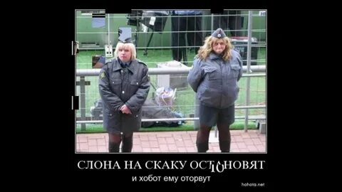 Поднял на скаку