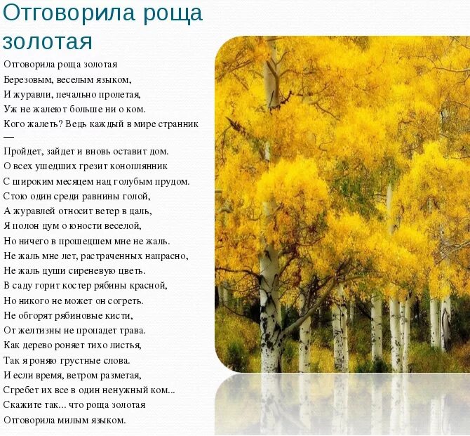 стих есенина роща золотая. стихотворение гафта о современной музыке. размер стихотворения отговорила роща золотая. стих роща золотая есенин текст. стих роща золотая есенин текст.