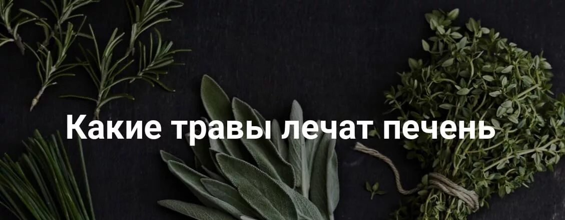 Лучшие травы для печени. Трава восстанавливающая печень. Травы для печени. Лекарственные растения для печени. Травы для восстановления печени.