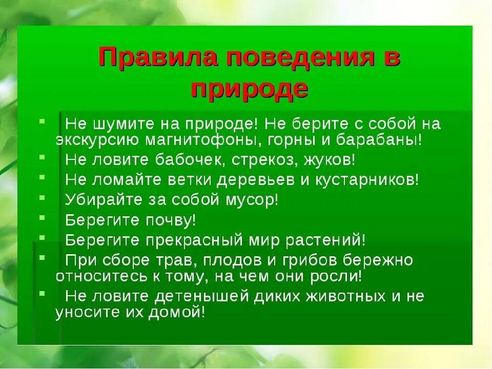 О бережном отношении к природе. Бережное отношение к природе презентация. Памятка по бережному отношению к природе. О бережном отношении человека к природе. Правила про природу