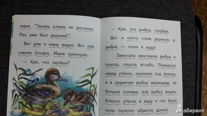 Б житков кружечка под елочкой. Кружечка под ёлочкой книга. Кружечка под елочкой житков иллюстрации. Житков кружечка под елочкой. Карел чапек рассказы из одного кармана иллюстрации.