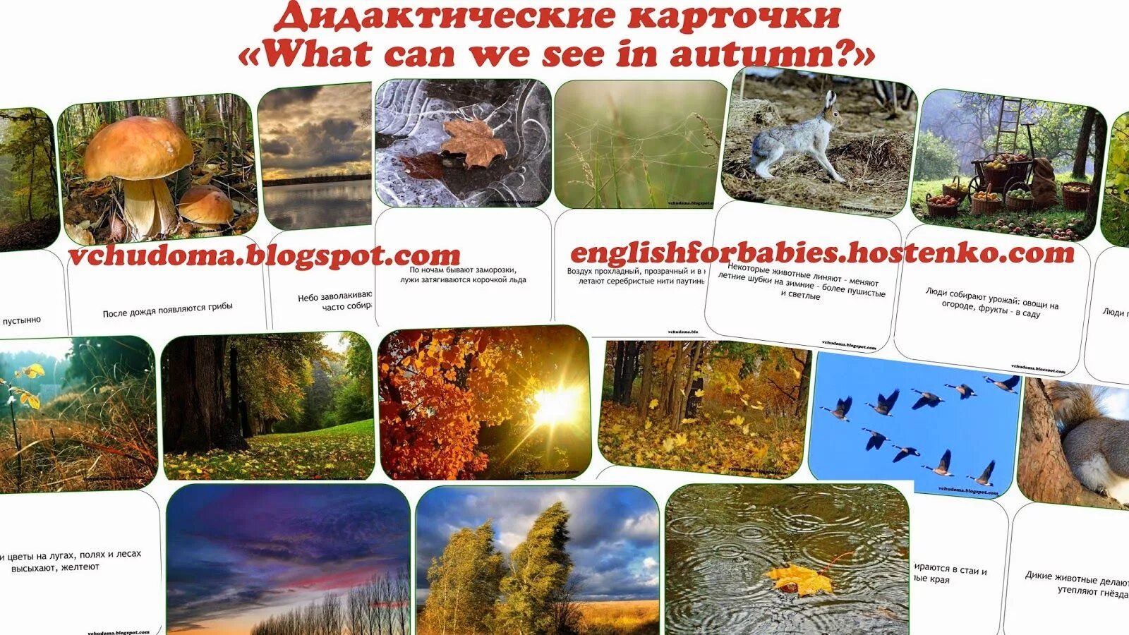 Список природных