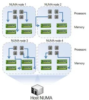 Numa vserver