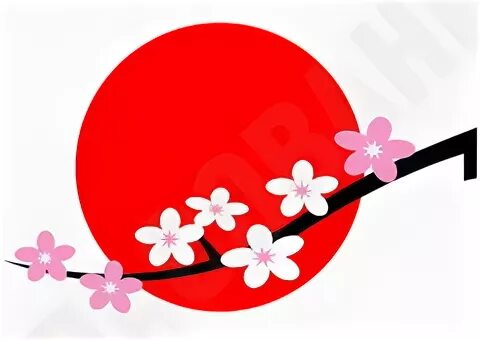 Фирма сакура. Сакура интернет магазин японских товаров лого. Cherry Blossom фирма.