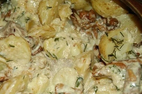 Картошка с грибами в сливочном соусе. Фрикасе из курицы с грибами в сливочном соусе. Картошка с грибами в сливках. Гарнир к грибам в сметане. Картофель с грибами в духовке.