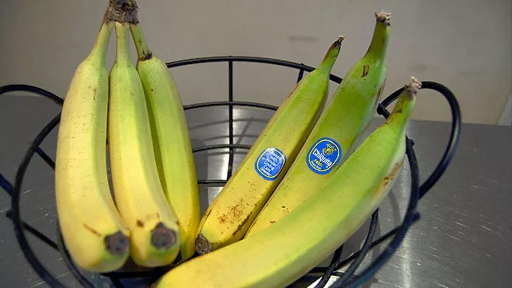 Как дольше сохранить бананы. Как хранить бананы. Чтобы бананы не портились. Fresh up банан. Где хранить бананы в домашних условиях.
