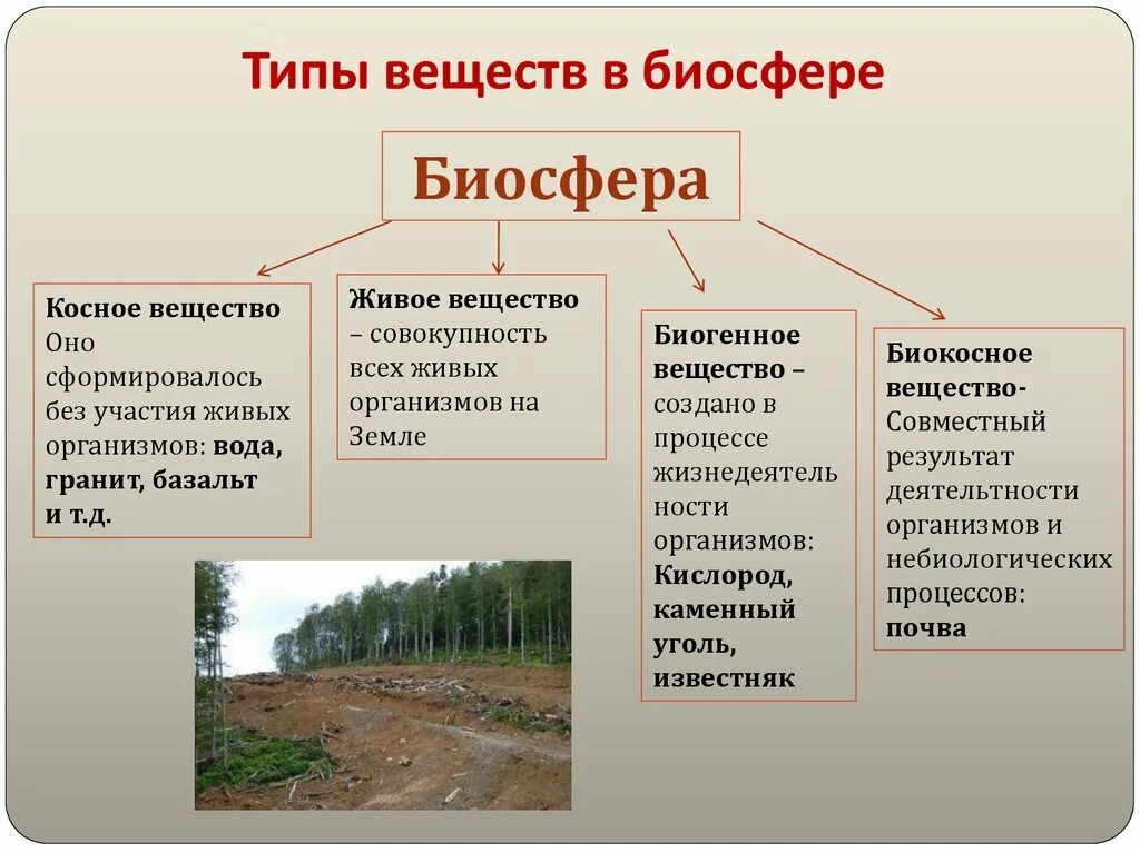 Какие типы вещества выделяют в биосфере. Структура биосферы живое вещество. Таблица живое костное биокостное. Живое вещество косное вещество биокосное вещество. Структура биосферы и функции ее живого вещества.