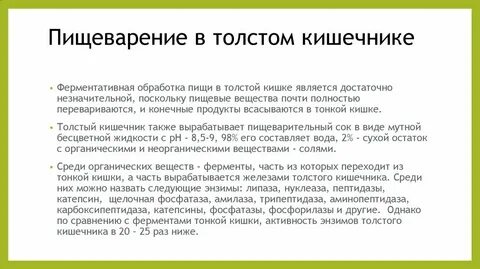 Ферменты толстого кишечника