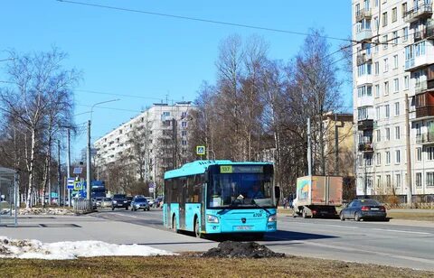 Автобус 60 спб
