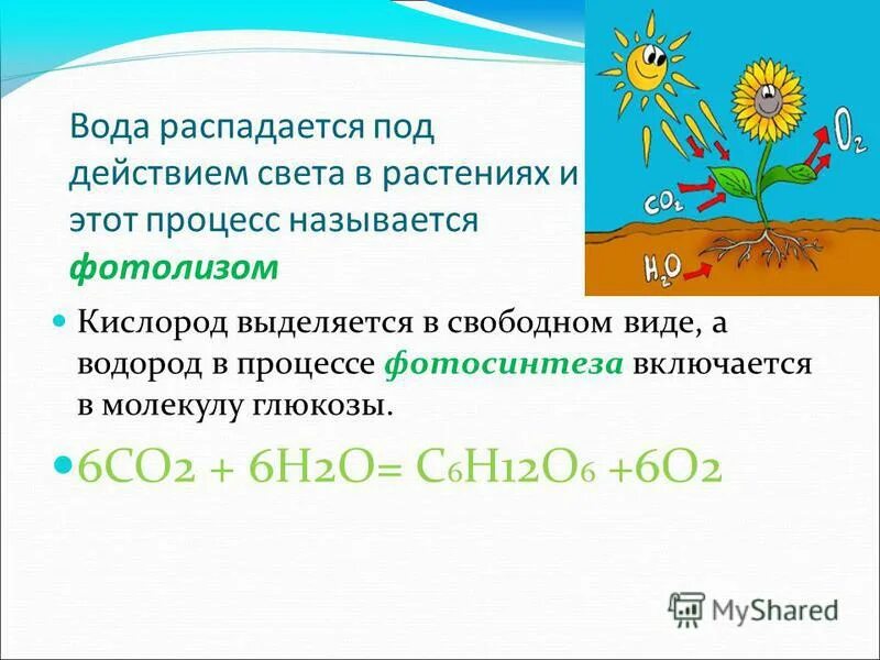 фотолизом называется процесс. типы хим реакций на примере воды. фотолиз воды реакция. фотолизом называется процесс. фотолиз воды схема реакций.