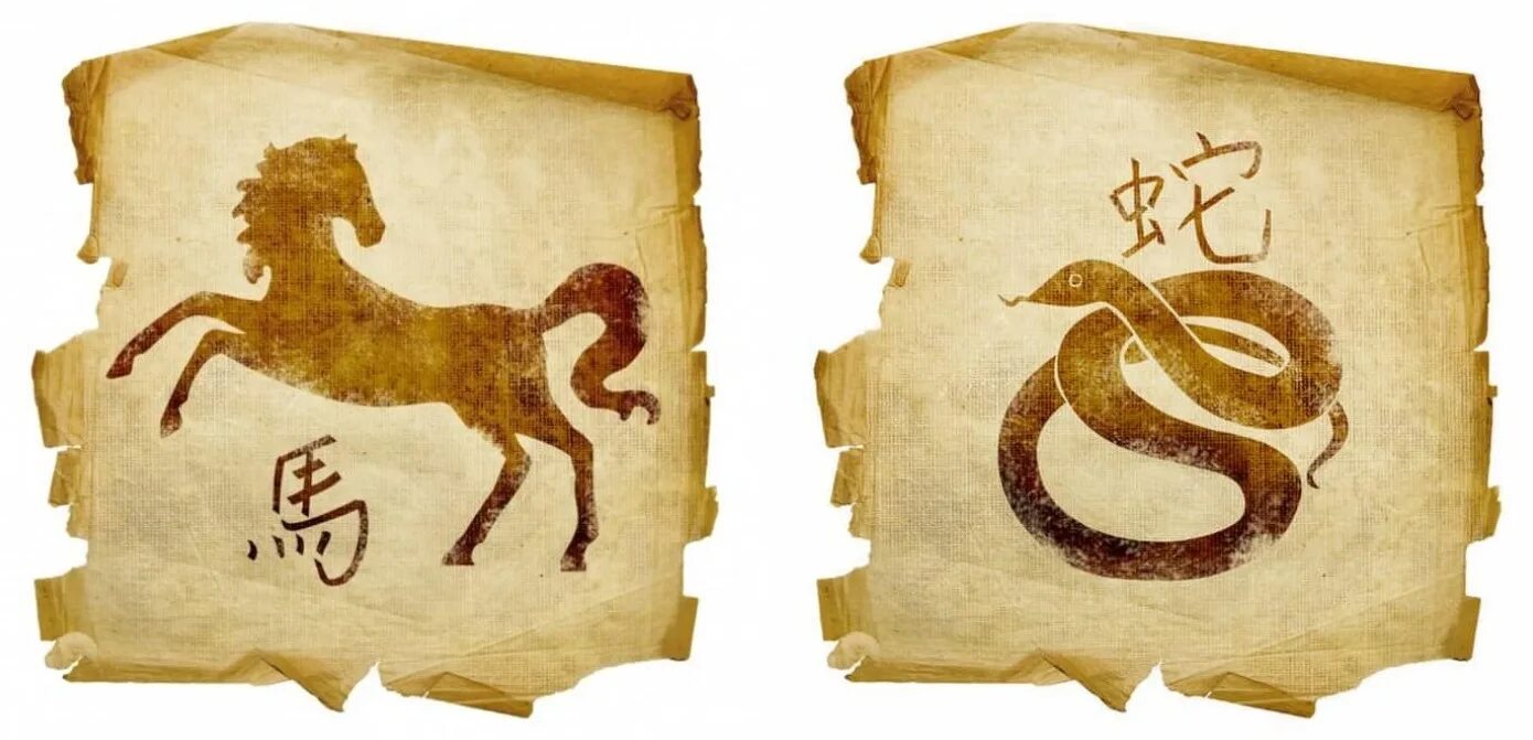 Конь свинью. Сочетание восточного и зодиакального гороскопов. Векторные отношения. Векторный брак по знакам. Векторное кольцо зодиакальное.