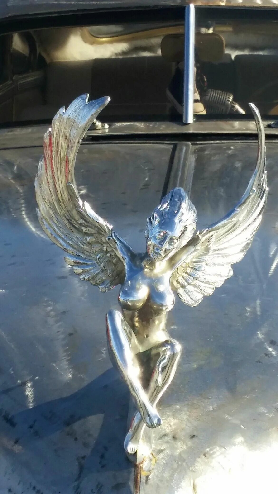 Angel Wings Car Window Bumper Body Badge Sticker Decal Emblem Décor 3D eBay