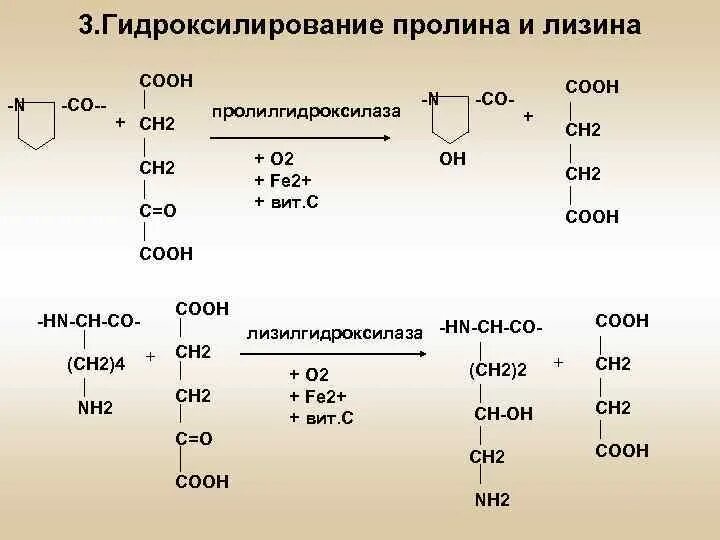 Витамин участвующий в синтезе коллагена. Реакция гидроксилирования пролина. Реакция гидроксилирования лизина при синтезе коллагена. Реакция гидроксилирования лизина. Гидроксилирование аминокислот лизина и пролина.