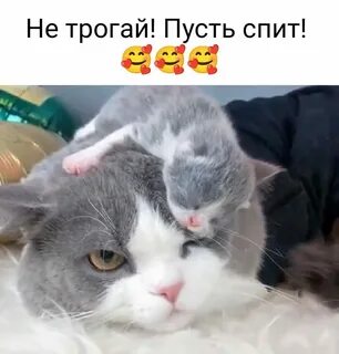 Пусть выспятся