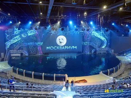 Москвариум лучшие места