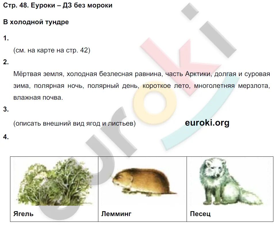 Тест 48 окружающий мир. Цепи питания 3 класс окружающий мир рабочая тетрадь. Гдз по окружающему миру 4 класс схема питания. Цепь питания окружающий мир 4 класс рабочая тетрадь. Окружающий мир 4 класс 1 часть страница 48.