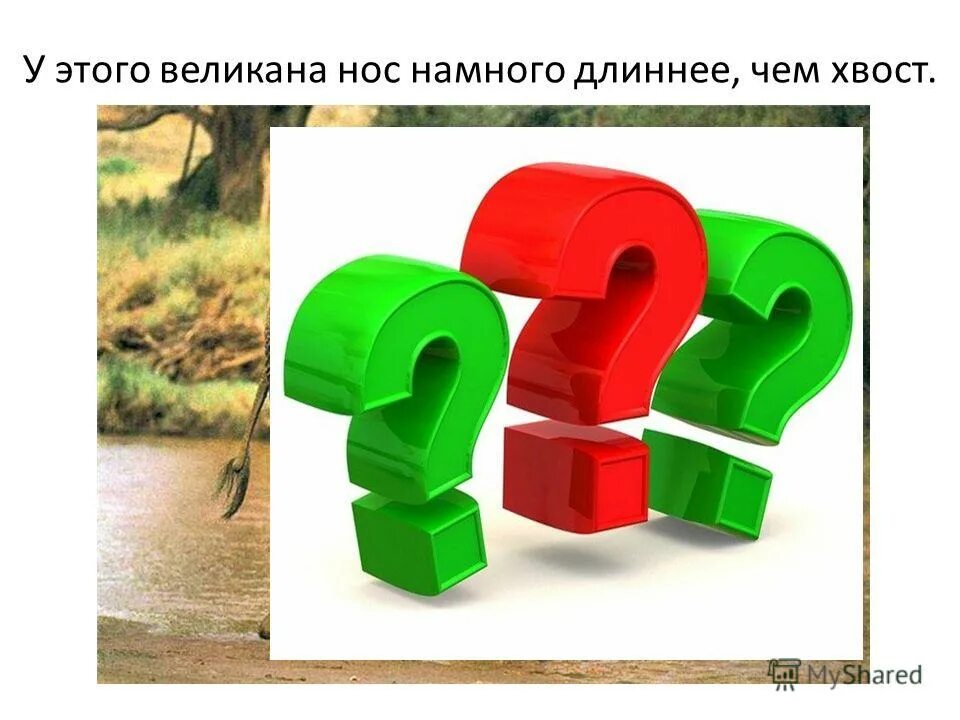 Утренние тренировки мотивация. А в попугаях то гораздо длиннее. Намного длиннее. Намного длиннее. Статус про обиду со смыслом.