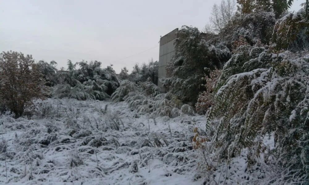 Погода каменогорск. Усть-Каменогорск климат. Усть Каменогорск сугробы. Климат в Каменногорске. Выпал снег в Усть.