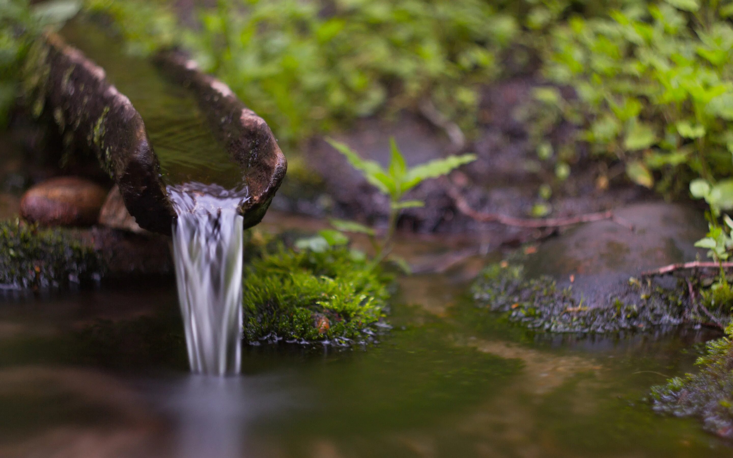 Вода бежит с ручьями споря. Источник воды. Вода ручей. Чистый ручей вода. Источник воды река.