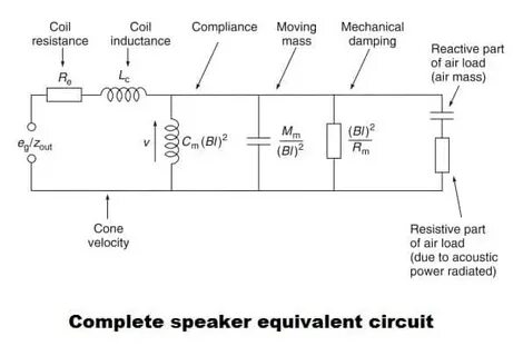 The speaker перевод