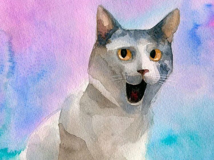 Как нарисовать кошку гуашью. Кошка акварелью поэтапно. рисуем кота поэтапно гуашью. поэтапное рисование гуашью кот.