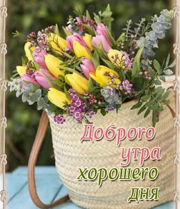 Доброе утро хорошего дня и настроения. Светлого дня. солнечного утра и хорошего настроения. светлого дня и отличного настроения. доброе утро счастливого дня.