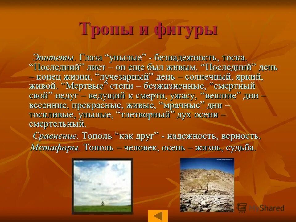 эпитеты про глаза девушке. очи эпитеты. найди эпитеты. метафорический эпитет метонимический эпитет. глаза эпитеты.
