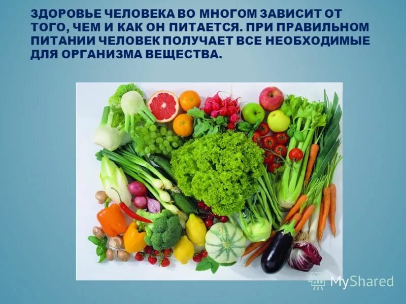 Результат во многом зависит. Питание и здоровье. Здоровье человека зависит от еды. Здоровье человека во многом зависит от питания. Зависит ли здоровье человека от того как он питается.