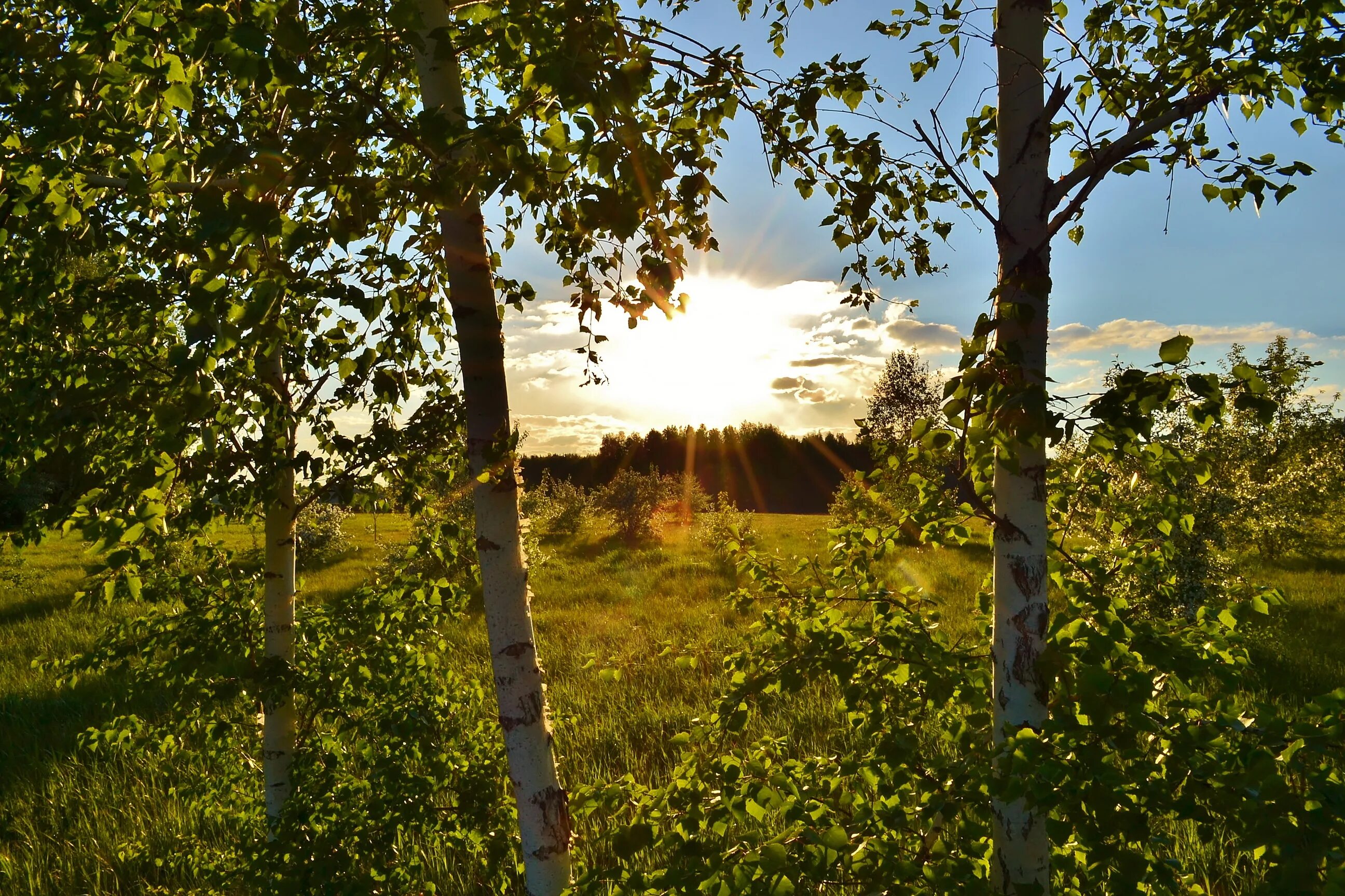 песня через поле через лес. песня через поле через лес. через две зимы ноты. песня через поле через лес. поля луга.