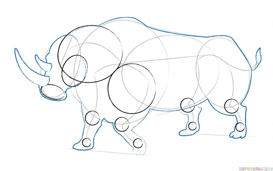 Схема носорога. Поэтапное рисование носорога. Нарисовать носорога пошагово. Носорог рисунок карандашом. Носорог пошаговое рисование для детей.