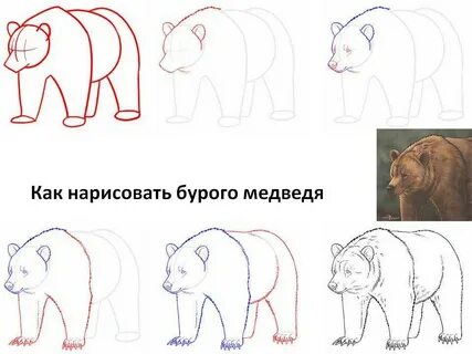 Как рисуется медведь