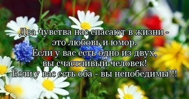 Мир это главное текст. Два чувства нас спасают в жизни любовь и юмор. Цитаты про чувство юмора. Благодарю за эмоции. Спасибо за эмоции цитаты.