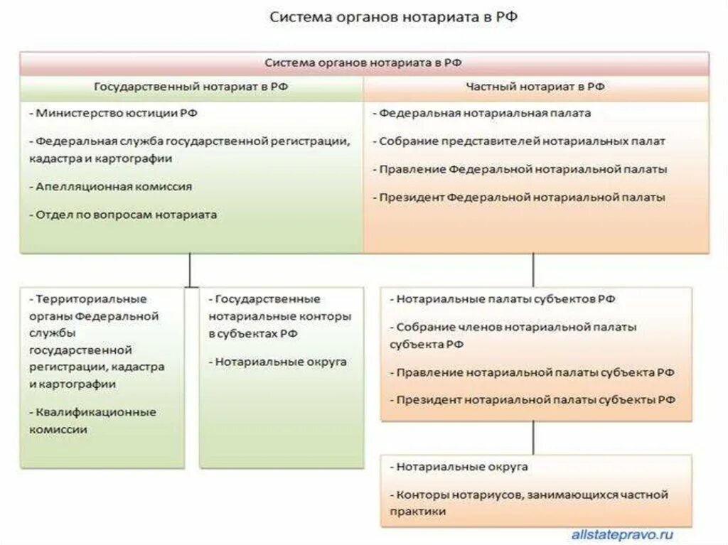 Российский нотариат относится к. Система государственных учреждений нотариата в россии. система нотариата в российской федерации схема. организационная структура нотариата в рф. структура нотариальных органов рф.
