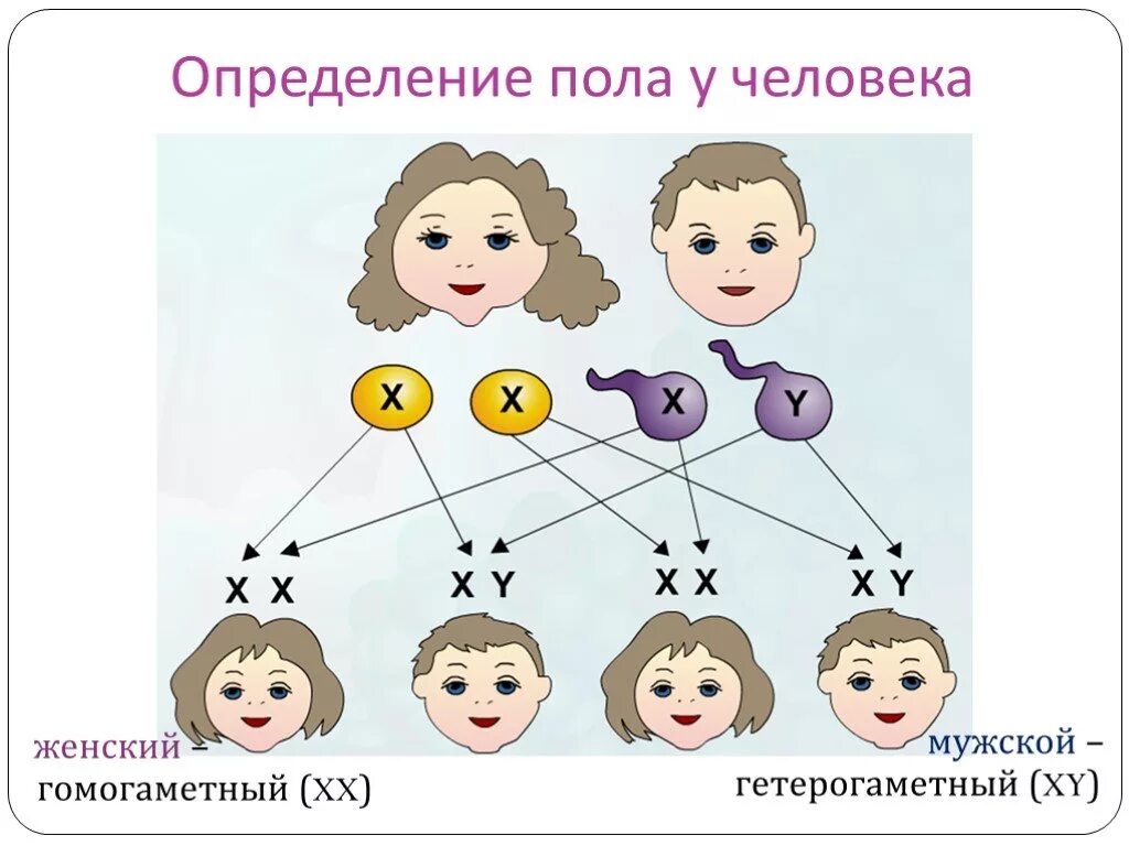 Узнать детей человека