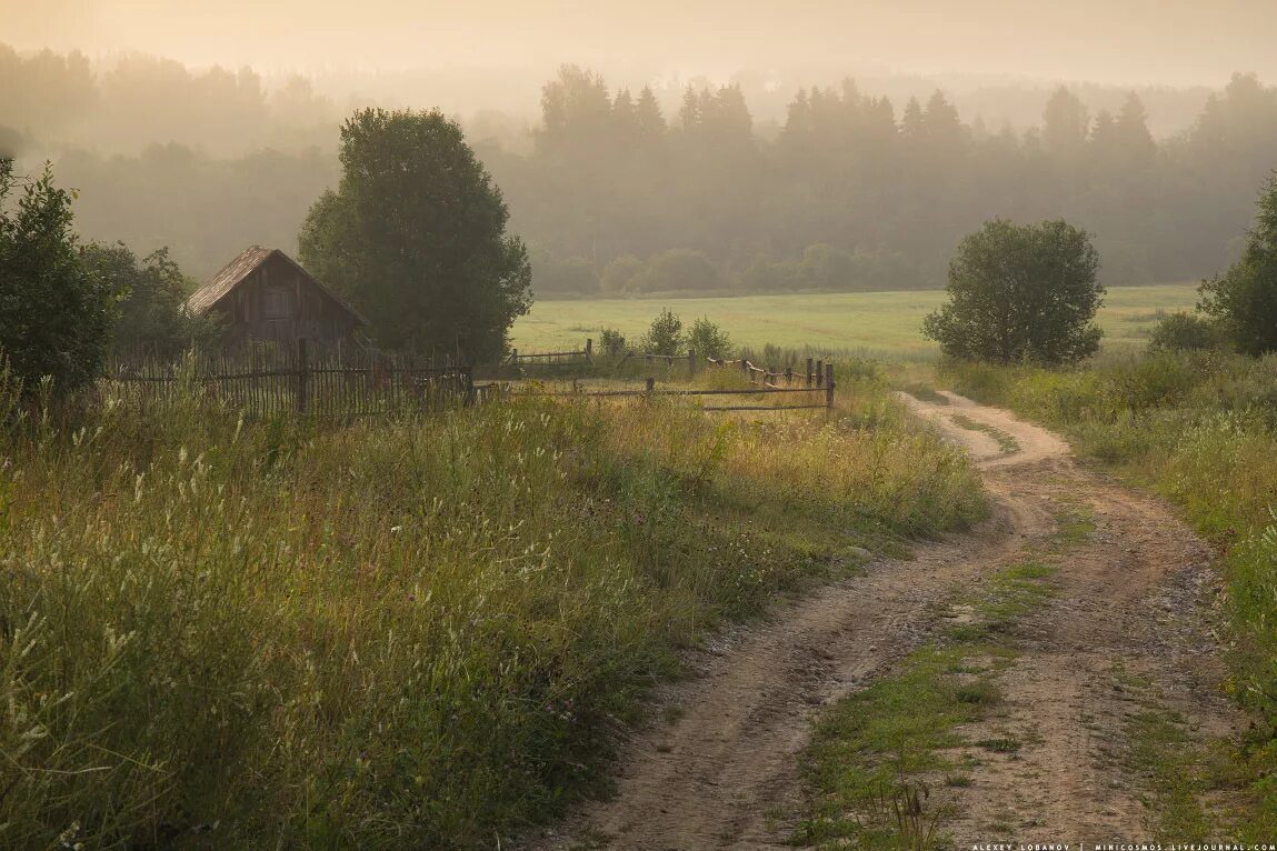 Эх деревня деревенька на пригорке три. Деревня околица лес дорога лето. деревенская тропинка. дорога в деревне. тропинка в деревне.