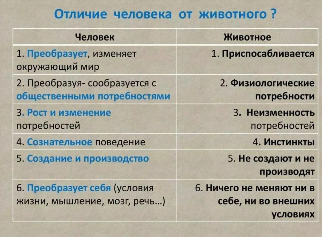 Как объяснить это с биологической точки зрения. Отличие человека от живо. Отличие человека и животного. Основные отличия человека от животных. Признаки отличия человека от животного.