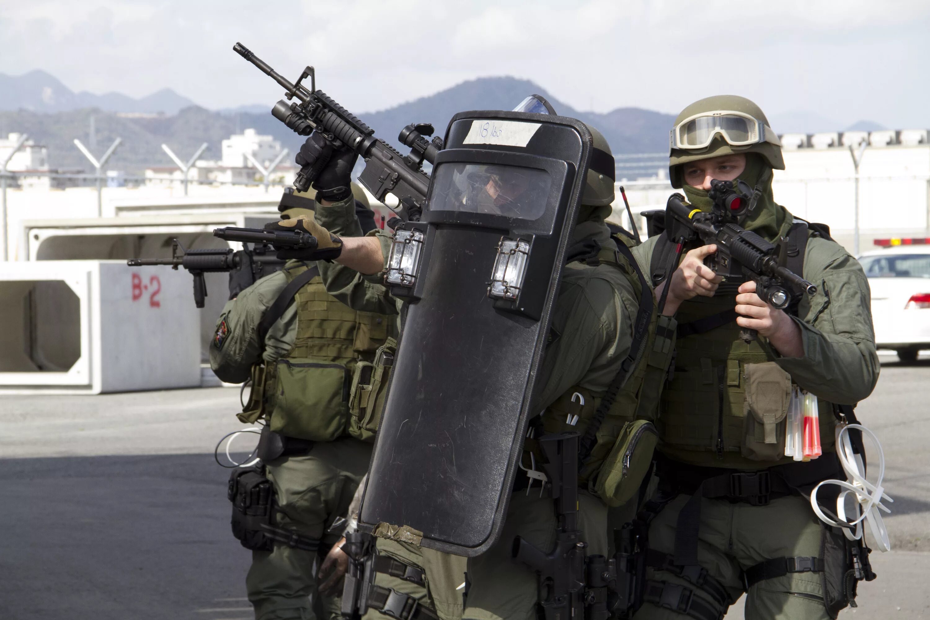 SWAT Ballistic Shield. GSG 9 Shield. Щиты спецназа SWAT. Спецназ GSG 9. Force shield
