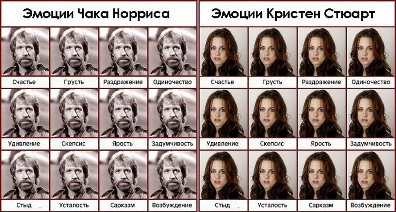 Мем эмоции. Эмоции чака норриса. карта эмоций чака норриса. эмоции мем. таблица эмоций чака норриса.
