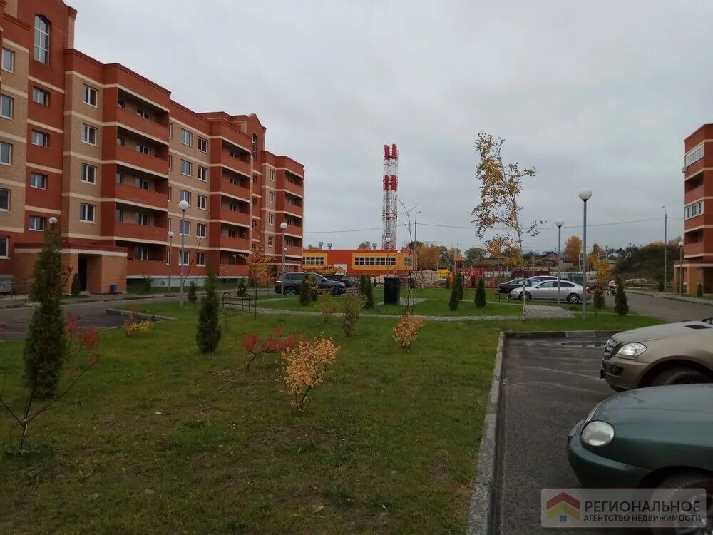 Жк восточная европа большие жеребцы. Д большие жеребцы щелково. 9,. Жк восточная европа. Д большие жеребцы щелково.