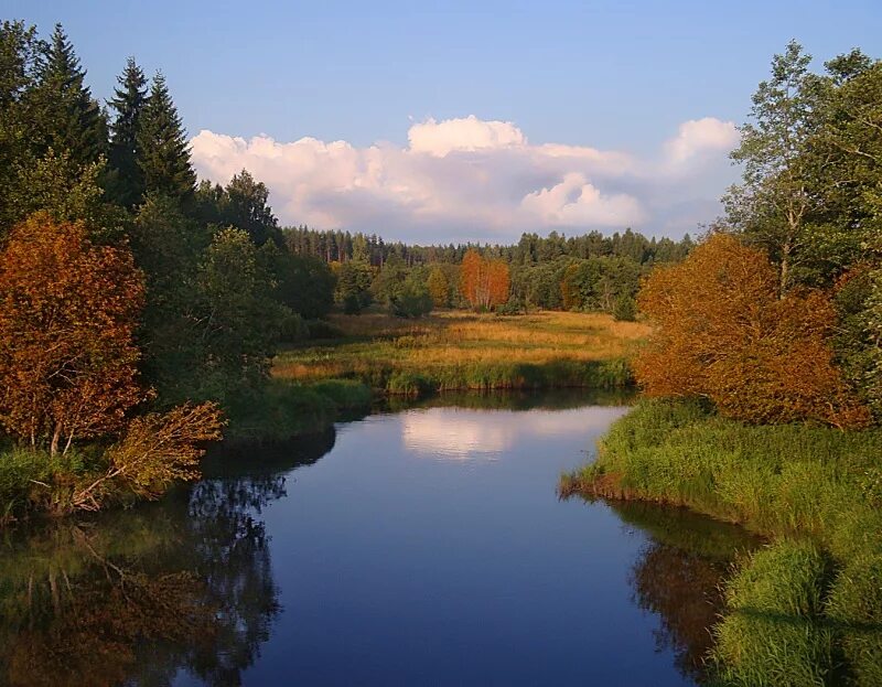 Осенний беречь