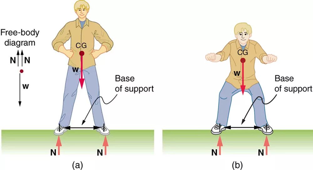 Shoulder width. Micro Sky Hunter Center of Gravity. Centre of Gravity how. Center of Gravity while sitting. Support definition